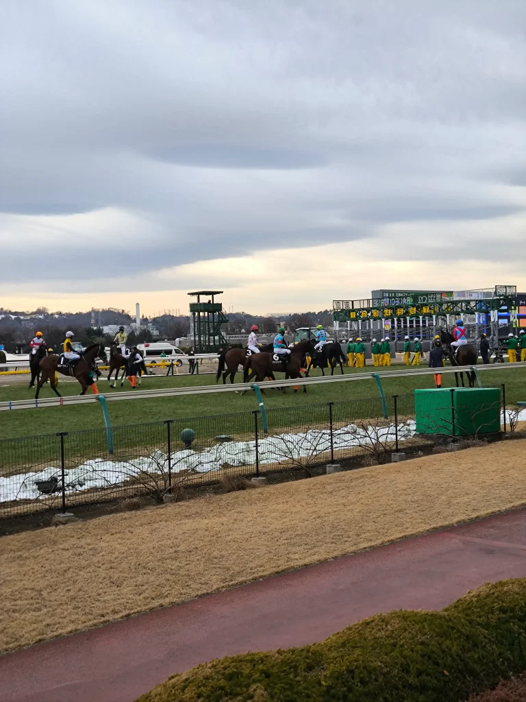 東京競馬場・2026年2月10日のゲート前