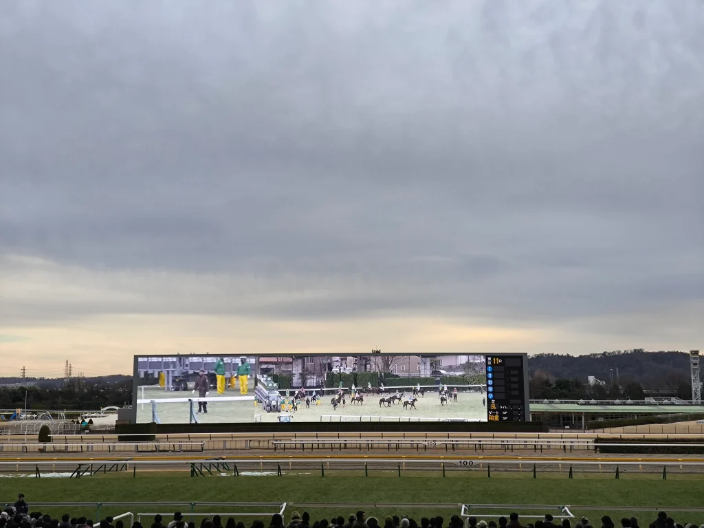 東京競馬場・東京新聞杯の出走前