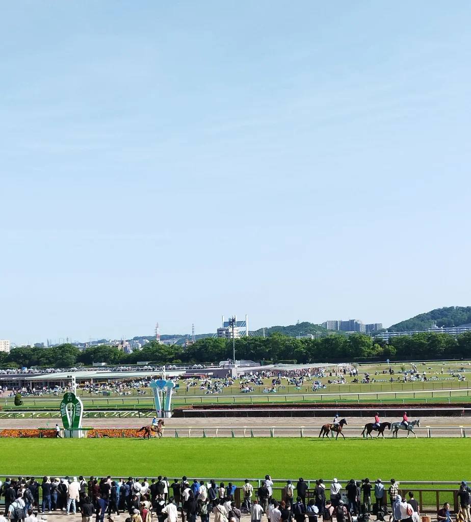 ゴールデンウイークに行った東京競馬場・2025年