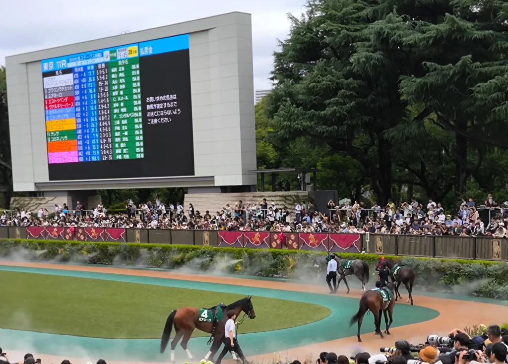 府中牝馬S2026・パドックのミアネーロ